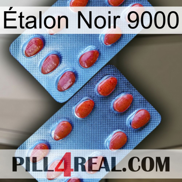 Étalon Noir 9000 05